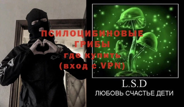 твердый Горняк