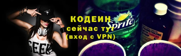 твердый Горняк